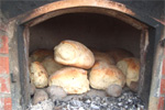 Bread Dona Adelia